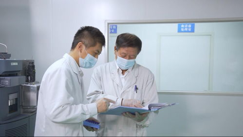 石家莊站在國(guó)際起點(diǎn),培育藏在細(xì)胞里的產(chǎn)業(yè)新賽道