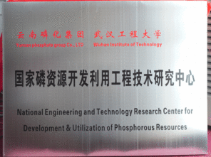 國家 磷資源 工程中心揭牌儀式在武漢舉行 磷都