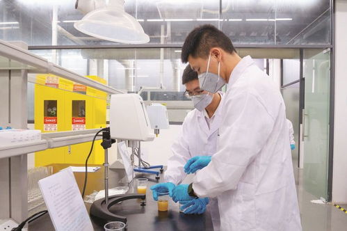 4家代表性省級重點實驗室及新型研發機構聚力創新研發 賦能惠州做強 2 1 現代產業集群